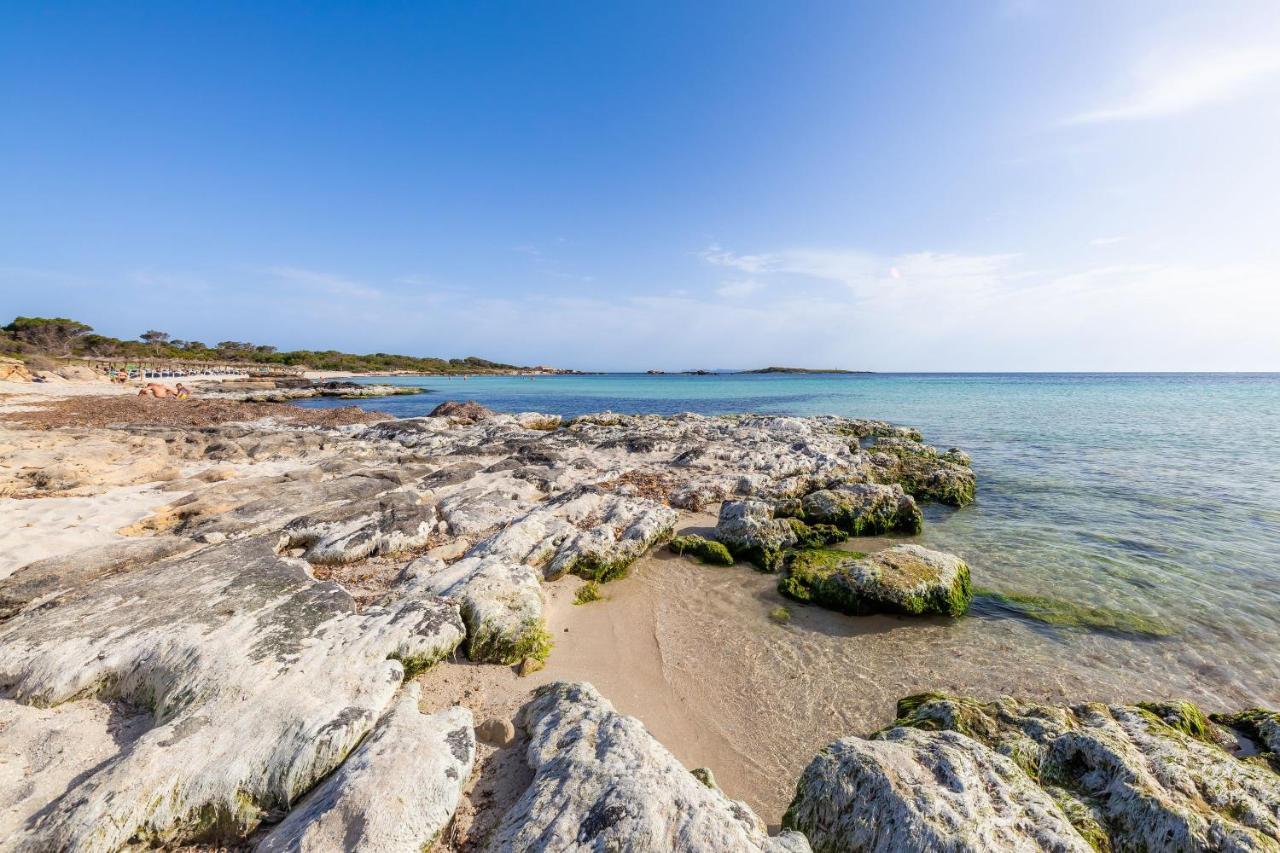With Private Pool And Barbecue Ses Salines (Mallorca)